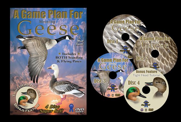 geese-game-plan